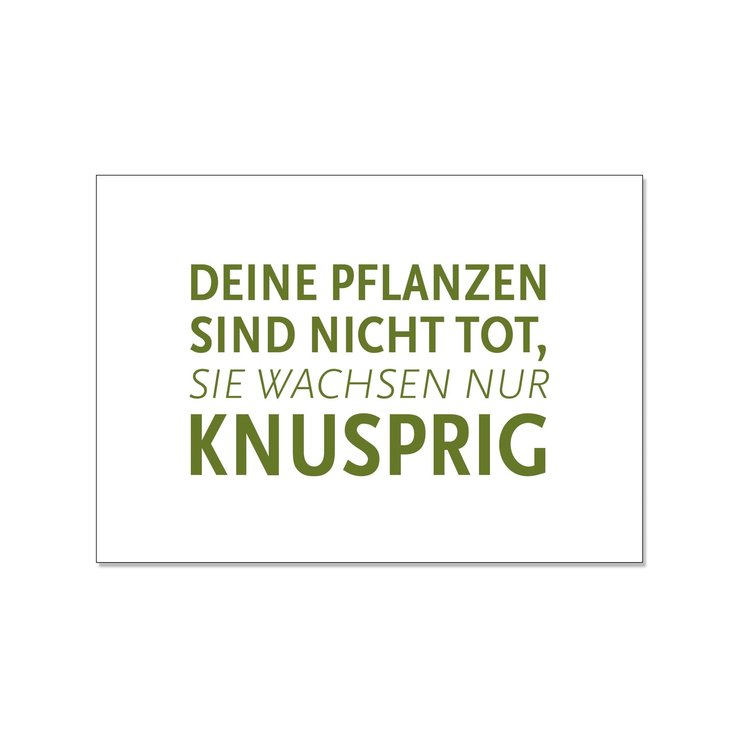 Postkarte quer, Deine Pflanzen sind nicht tot sie wachsen nur knusprig bunt