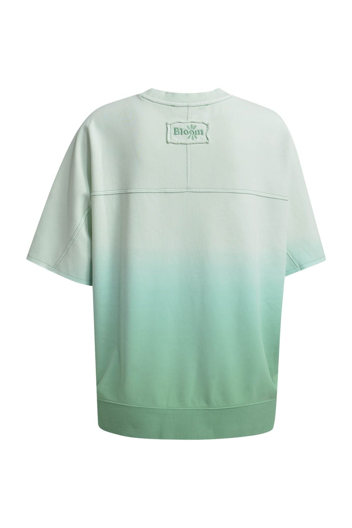 Smith&Soul Damen Sweatshirt Shortsleeve grün