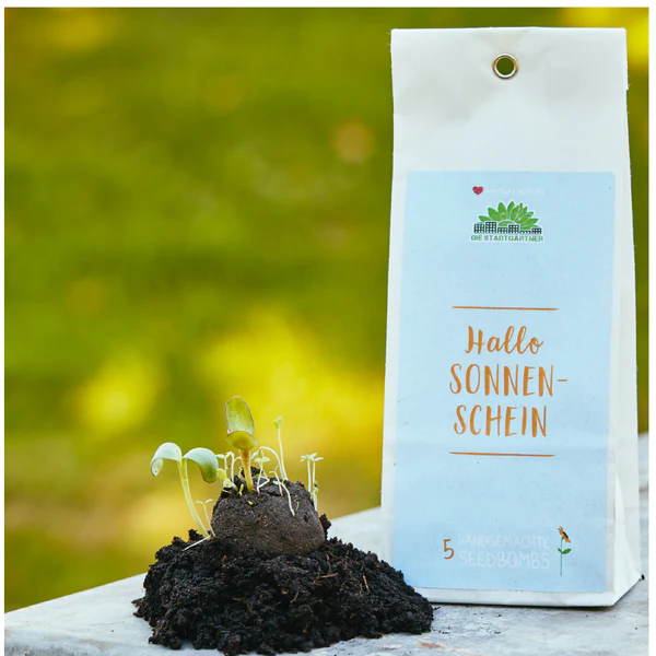 TDJ Stadtgärtner Samenbomben "Sonnenschein" bunt