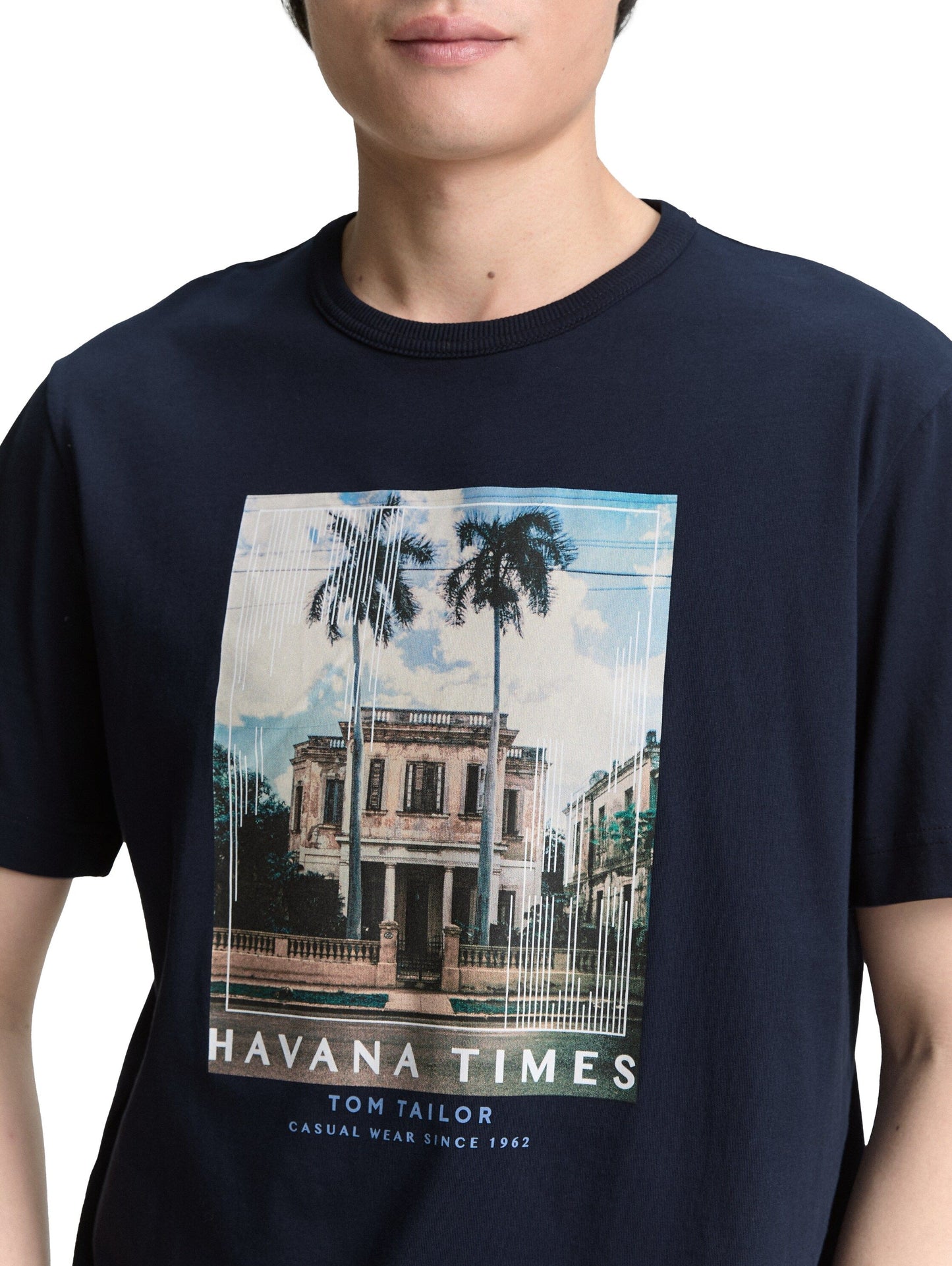Tom Tailor Herren T-Shirt blau