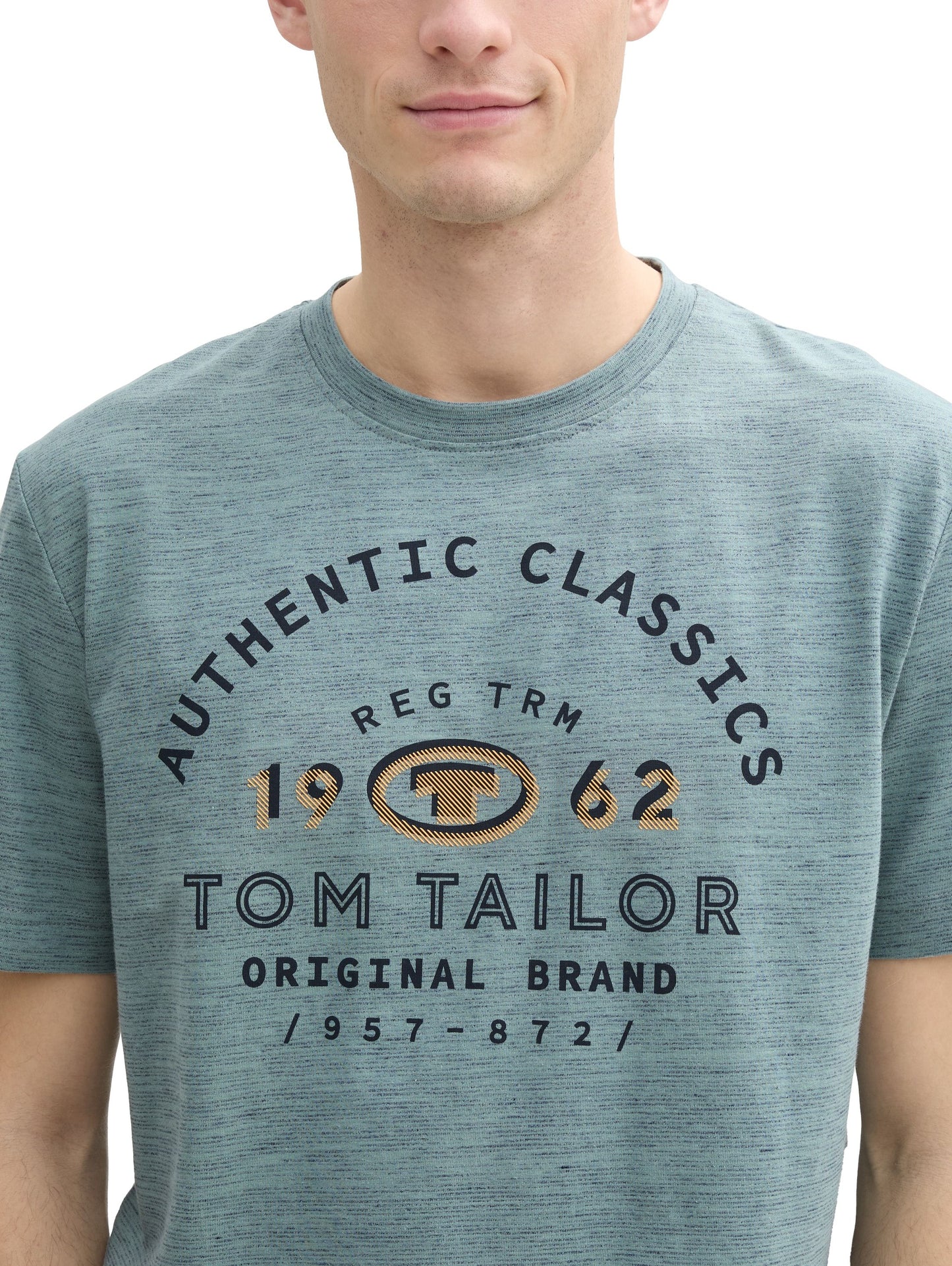 Tom Tailor Herren T-Shirt grau