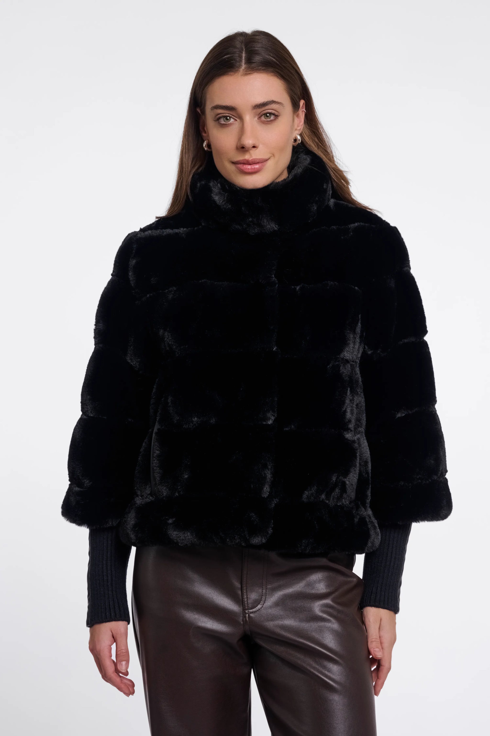 Feline.7002611
